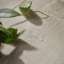 Rigio VOX DEMES Oak 1220x229x6,5mm