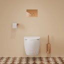 Modern Project Hängend Toilettenbürste Kupfer poliert (CP)