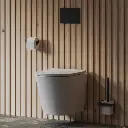 Nelson Hängend Toilettenbürste Schwarz matt (BLM)