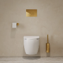 Modern Project Hängend Toilettenbürste Gold poliert (GL)