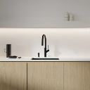 Bend Küchenarmatur mit ausziehbarem Auslauf  Schwarz seidenmatt (BLH)