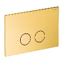 ECO FLUSH SET STRONGFRAME Vorwandelement mit ECO-Spülung für Wand-WC + STEEL-R45 WC-Betätigungsplatte aus Edelstahl Gold gebürstet (GLB) STFWCECO1R45-RGLB