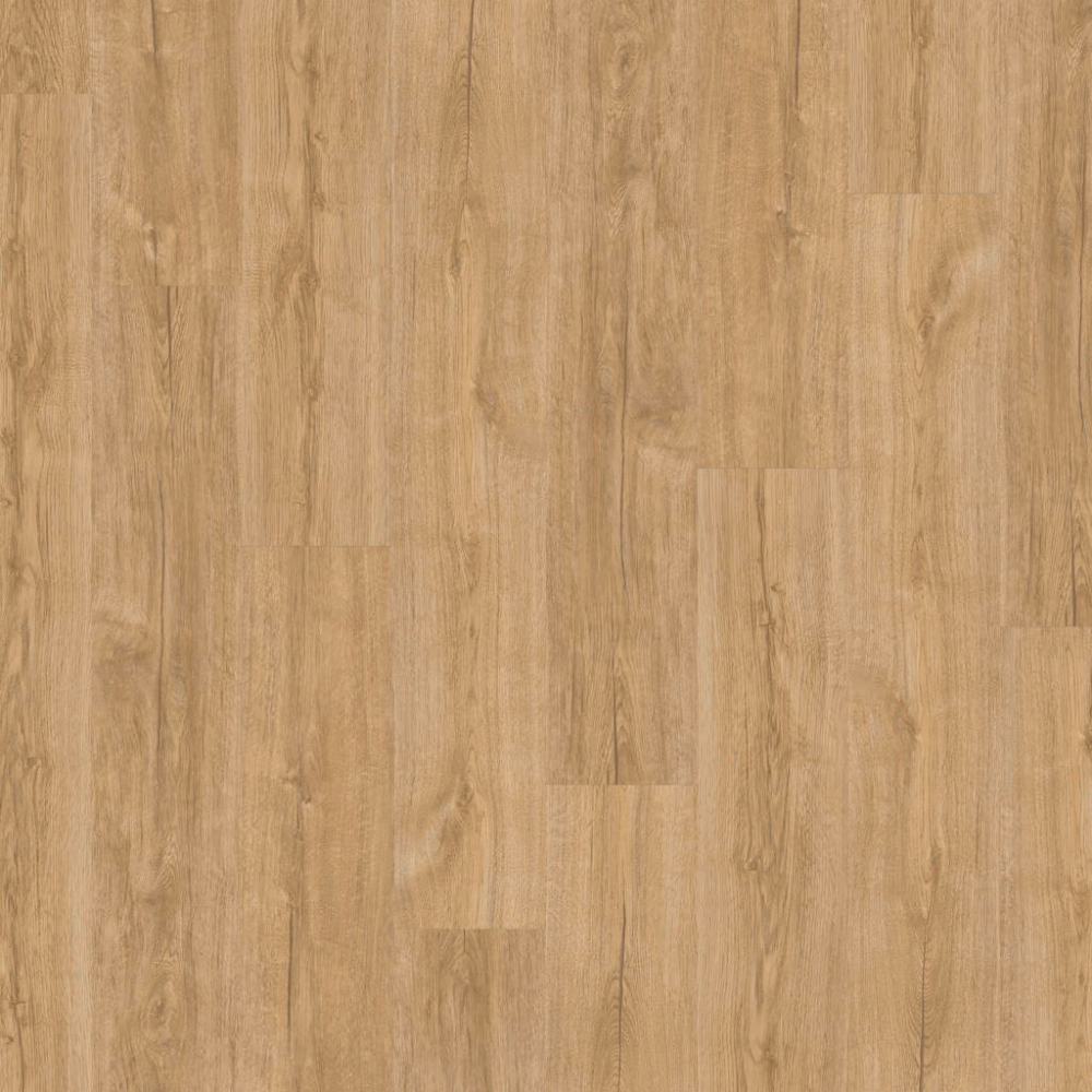 DESIGN 555 5205 French Bl.Oak 2,5mm/NS 0,55mm Dryback