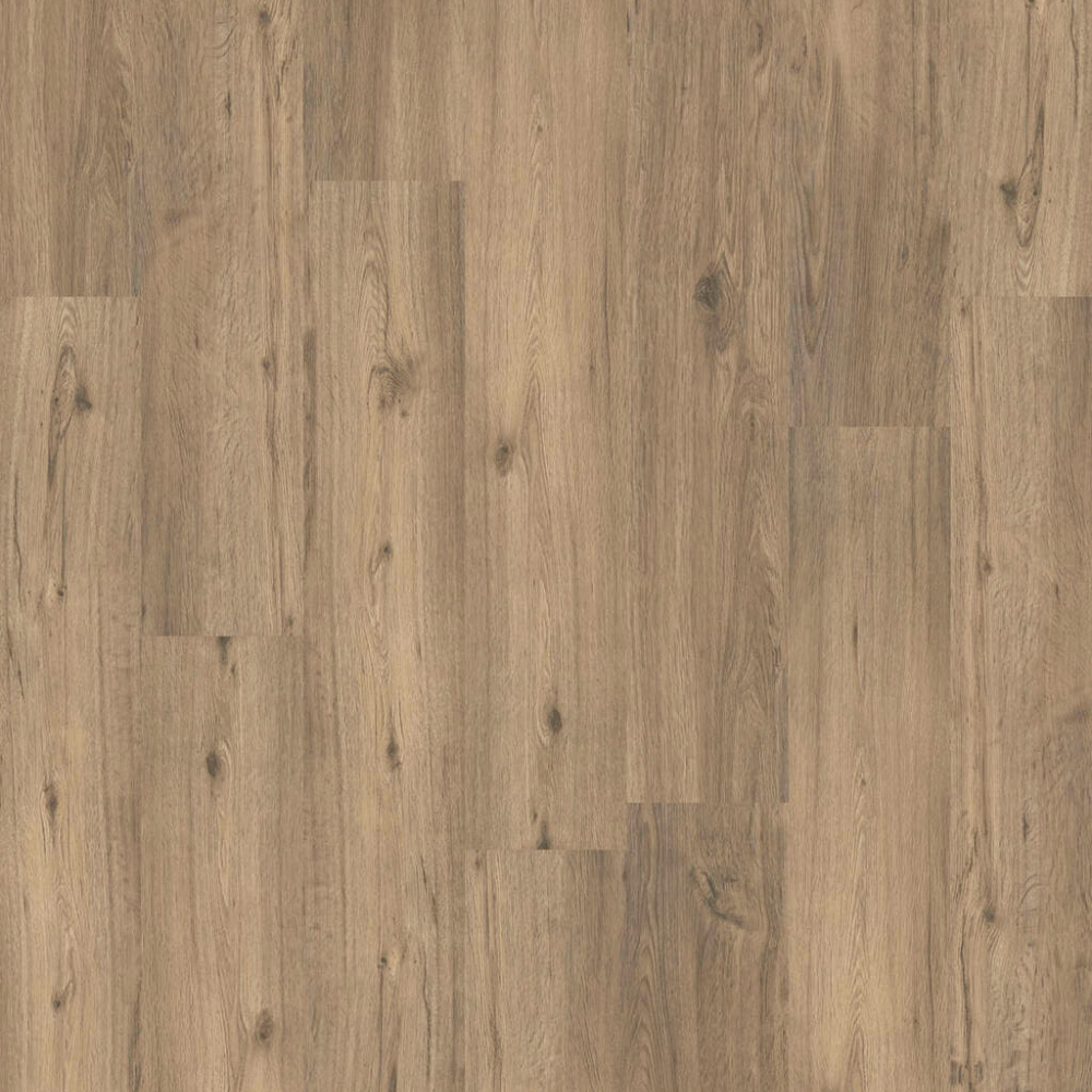 DESIGN 555 5509 Spring Oak 2,5mm/NS 0,55mm Dryback