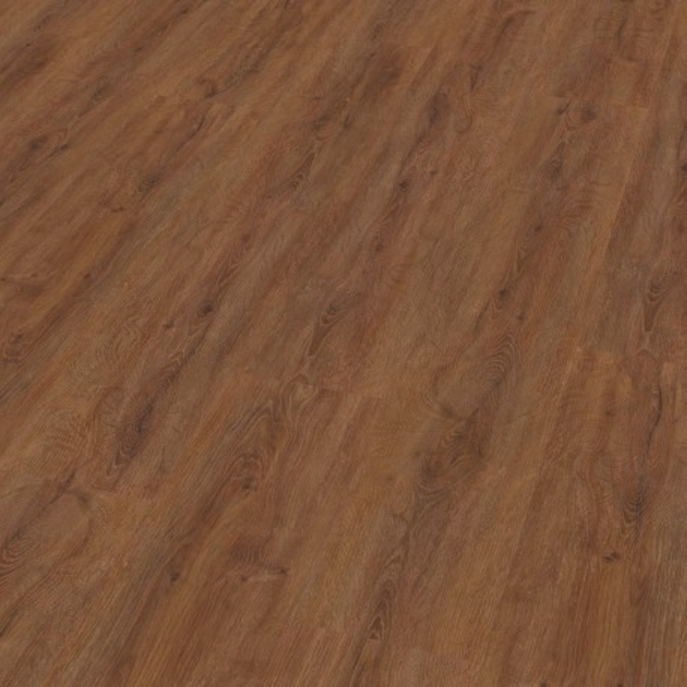 Eiche Charlottenburg Klick 