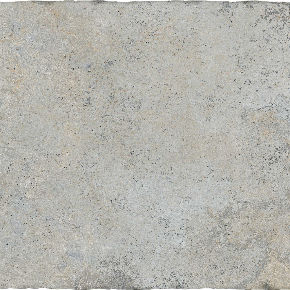 61x91 2cm Montpellier Taupe 