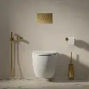 ECO FLUSH SET STRONGFRAME Vorwandelement mit ECO-Spülung für Wand-WC + STEEL-R45 WC-Betätigungsplatte aus Edelstahl Gold gebürstet (GLB) STFWCECO1R45-RGLB